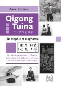 livre-3-philosophie-diagnostic-qigong-tuina