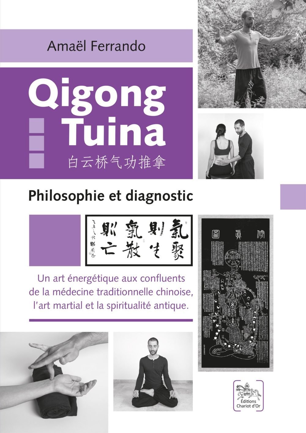 livre 3 philosophie diagnostic qigong tuina scaled e1642461751662
